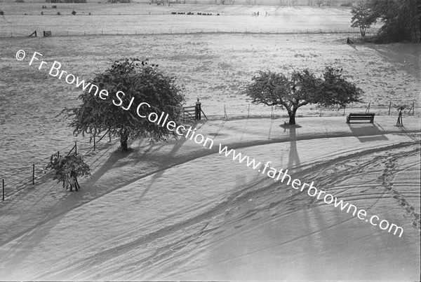 RATHFARNHAM CASTLE GROUNDS IN THE SNOW